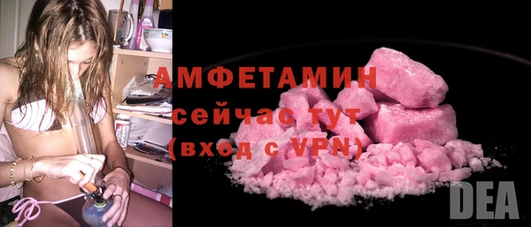 мдпв Елизово
