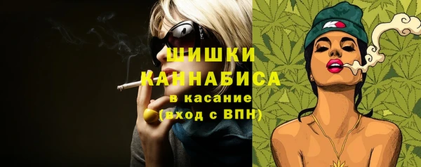 мдпв Елизово