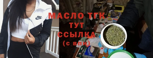 мдпв Елизово