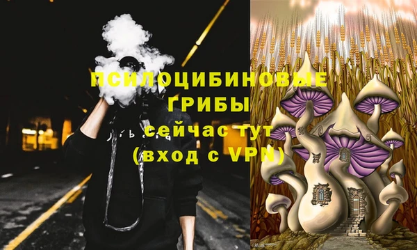 кристаллы Ельня