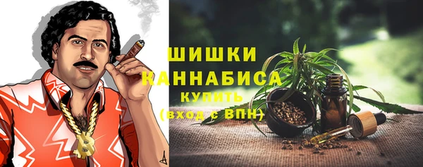 мдпв Елизово