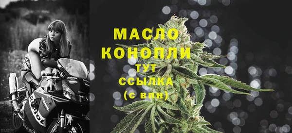 мдпв Елизово