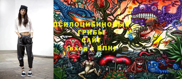 кристаллы Ельня