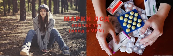 мдпв Елизово