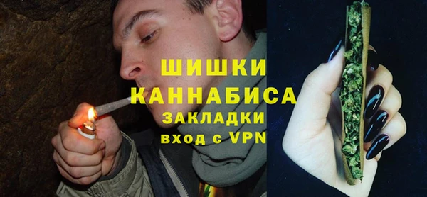 мдпв Елизово
