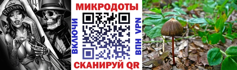 Галлюциногенные грибы MAGIC MUSHROOMS  kraken рабочий сайт  Каменногорск  закладка 